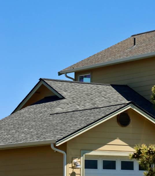 Best Skylight Installation and Repair  in Fort Dodge, IA